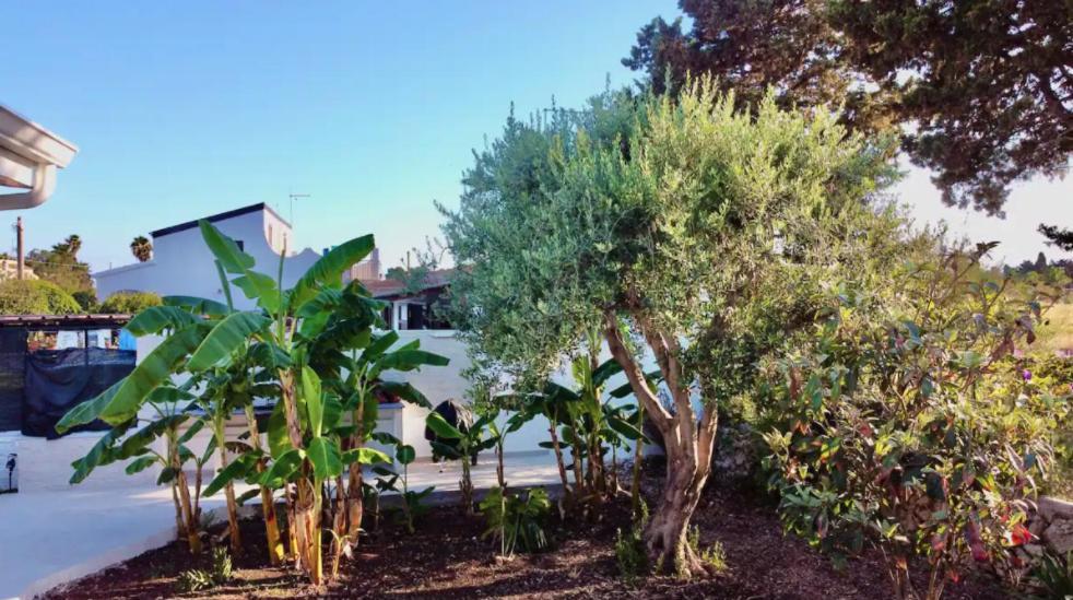 Villa Mare Blue Sr Nuovissima Villa 150M Dal Mare Adatta A Bambini Terrauzza ภายนอก รูปภาพ